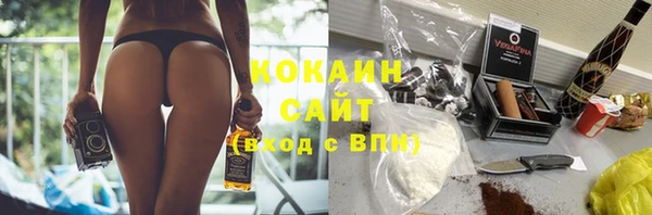 ALPHA PVP Осинники