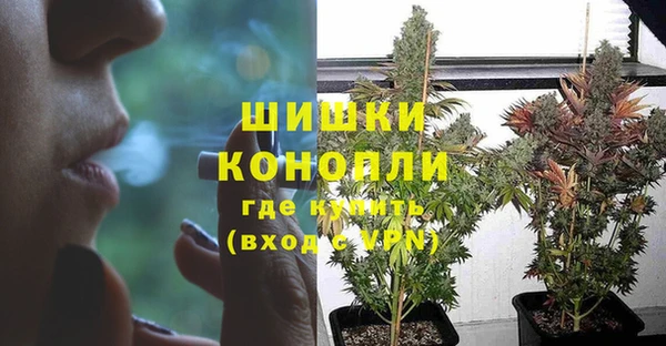 ALPHA PVP Осинники