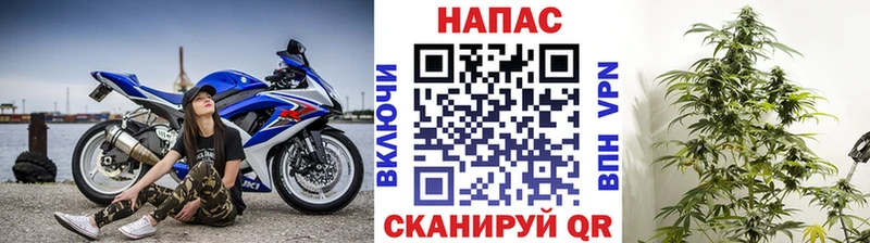 Шишки марихуана тримм Кизляр