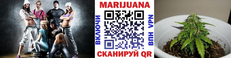 Купить где  Кизляр  Конопля планчик 